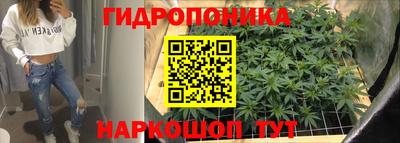 эйфоретик Краснодар