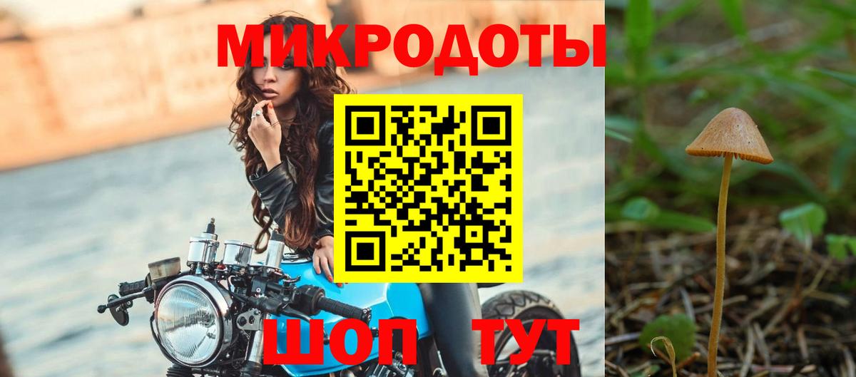 Псилоцибиновые грибы ЛСД  Вход с VPN  Камышлов  Галлюциногенные грибы мицелий 